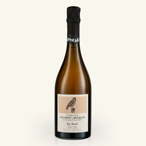Pied Marché Pinot Noir 2022